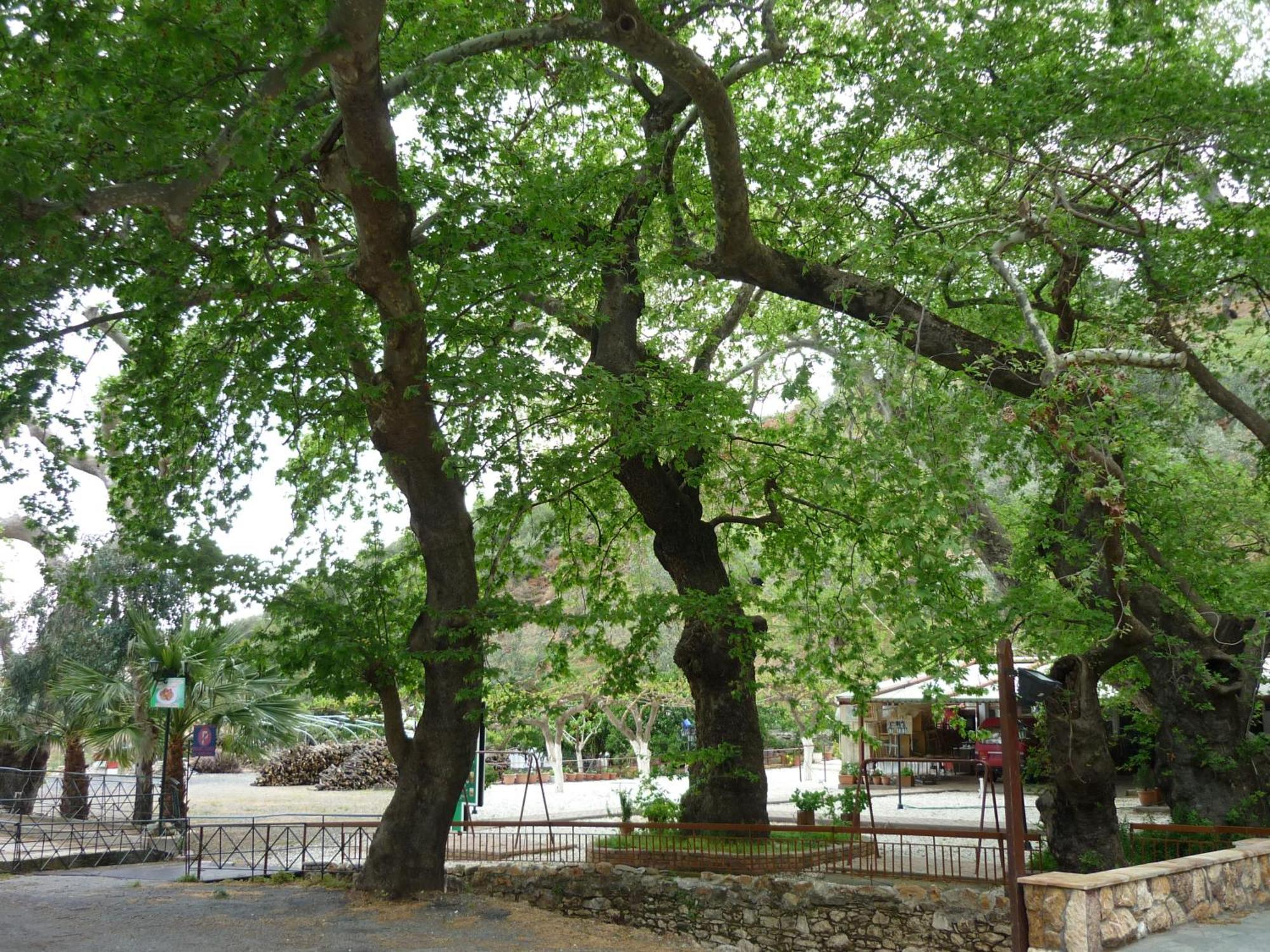 Pagona Hotel Лутра-Эдипсу Экстерьер фото